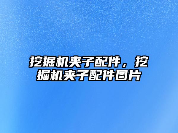 挖掘機夾子配件，挖掘機夾子配件圖片