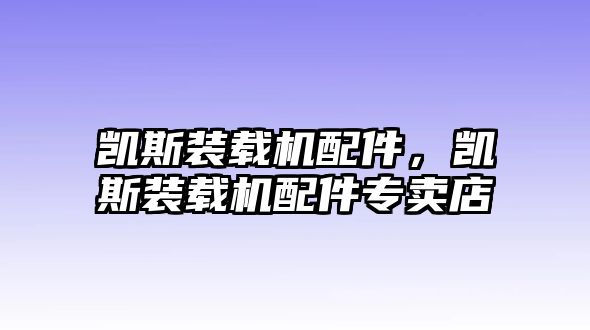 凱斯裝載機配件，凱斯裝載機配件專賣店