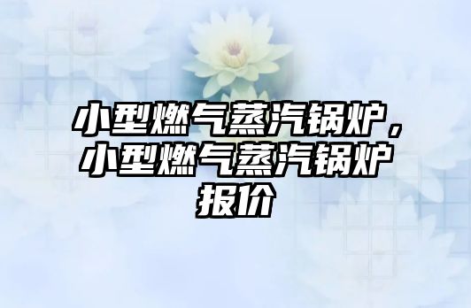 小型燃?xì)庹羝仩t，小型燃?xì)庹羝仩t報(bào)價(jià)