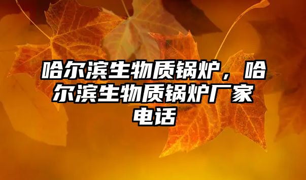 哈爾濱生物質(zhì)鍋爐，哈爾濱生物質(zhì)鍋爐廠家電話