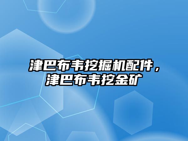 津巴布韋挖掘機配件，津巴布韋挖金礦