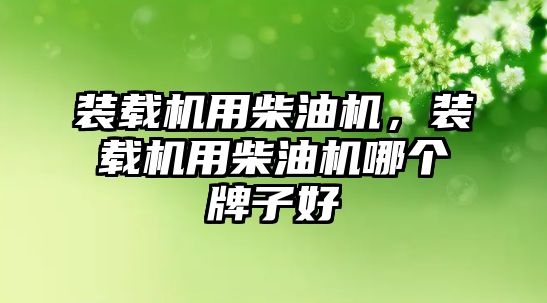 裝載機用柴油機，裝載機用柴油機哪個牌子好