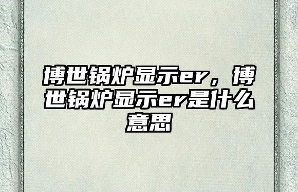 博世鍋爐顯示er，博世鍋爐顯示er是什么意思