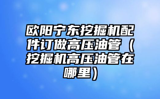 歐陽(yáng)寧東挖掘機(jī)配件訂做高壓油管（挖掘機(jī)高壓油管在哪里）