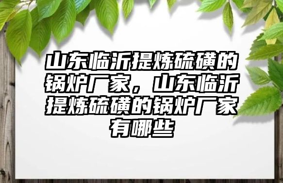 山東臨沂提煉硫磺的鍋爐廠家，山東臨沂提煉硫磺的鍋爐廠家有哪些