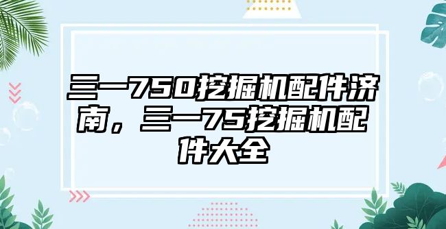 三一750挖掘機配件濟南，三一75挖掘機配件大全