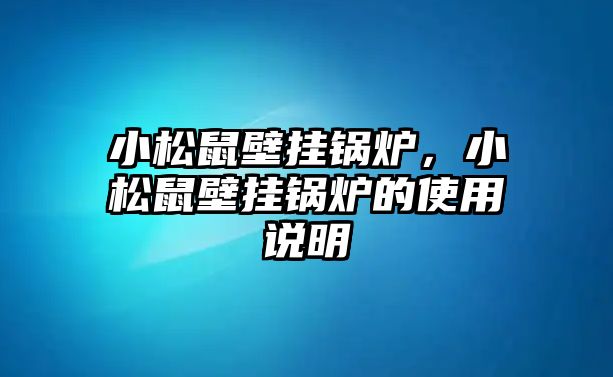 小松鼠壁掛鍋爐，小松鼠壁掛鍋爐的使用說明