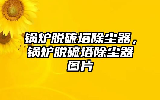 鍋爐脫硫塔除塵器，鍋爐脫硫塔除塵器圖片