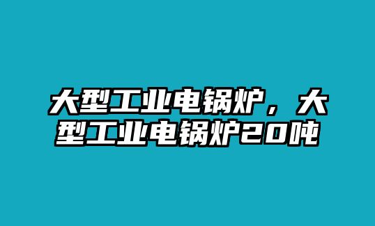 大型工業(yè)電鍋爐，大型工業(yè)電鍋爐20噸