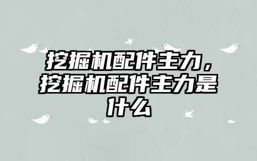 挖掘機(jī)配件主力，挖掘機(jī)配件主力是什么