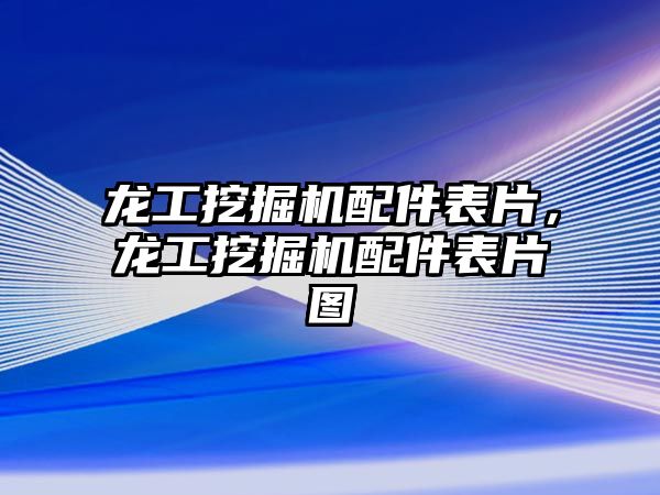 龍工挖掘機配件表片，龍工挖掘機配件表片圖