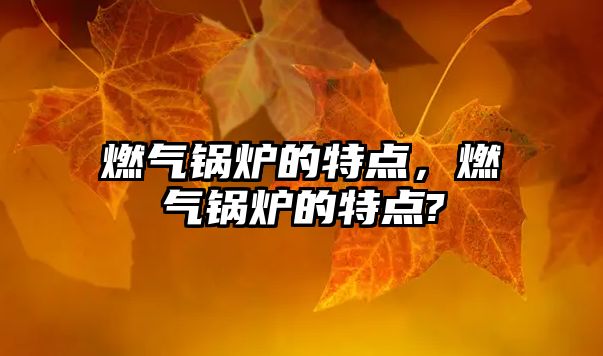 燃?xì)忮仩t的特點(diǎn)，燃?xì)忮仩t的特點(diǎn)?