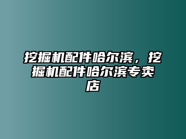 挖掘機(jī)配件哈爾濱，挖掘機(jī)配件哈爾濱專賣店