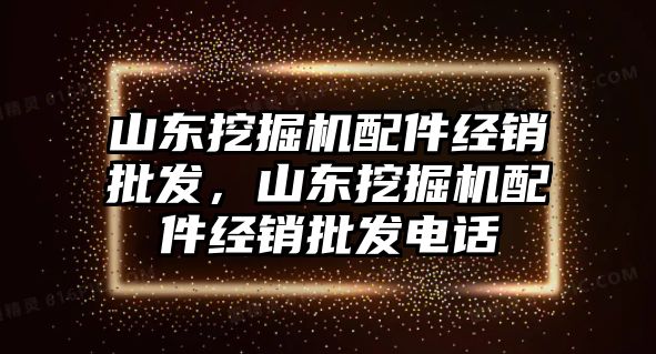 山東挖掘機配件經(jīng)銷批發(fā)，山東挖掘機配件經(jīng)銷批發(fā)電話