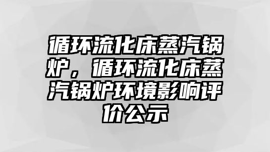 循環(huán)流化床蒸汽鍋爐，循環(huán)流化床蒸汽鍋爐環(huán)境影響評(píng)價(jià)公示