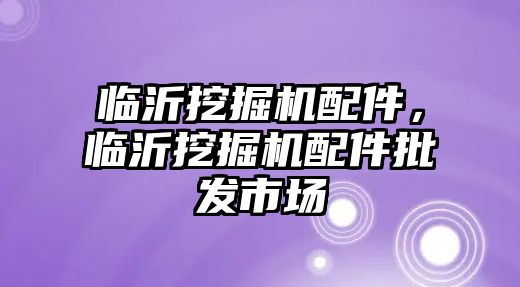 臨沂挖掘機配件，臨沂挖掘機配件批發(fā)市場