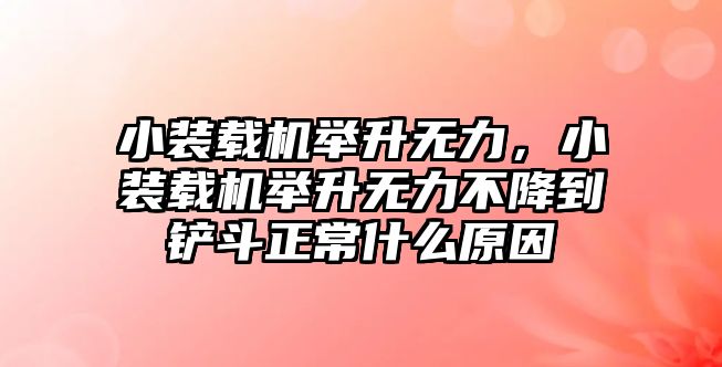 小裝載機舉升無力，小裝載機舉升無力不降到鏟斗正常什么原因