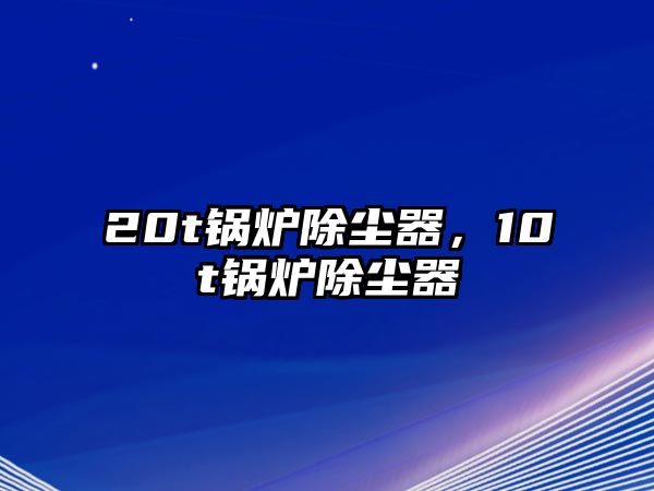 20t鍋爐除塵器，10t鍋爐除塵器