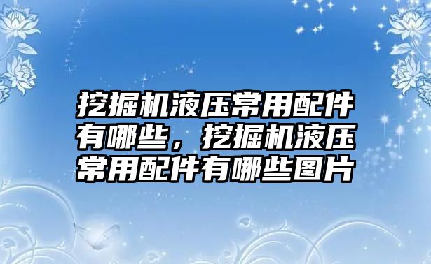 挖掘機液壓常用配件有哪些，挖掘機液壓常用配件有哪些圖片