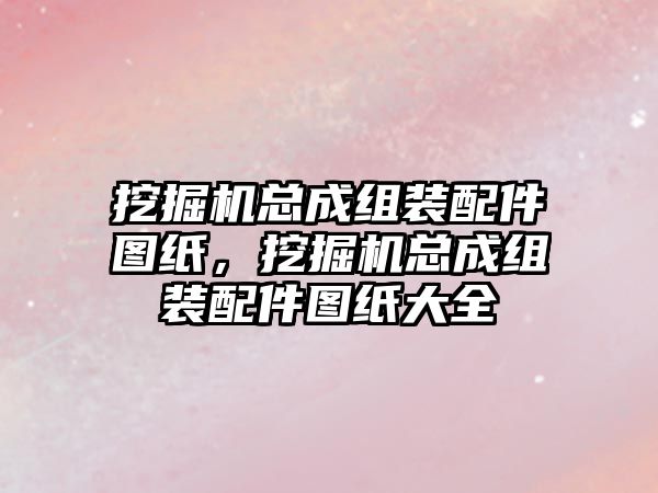 挖掘機總成組裝配件圖紙，挖掘機總成組裝配件圖紙大全