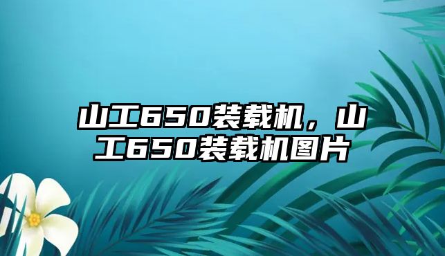 山工650裝載機，山工650裝載機圖片