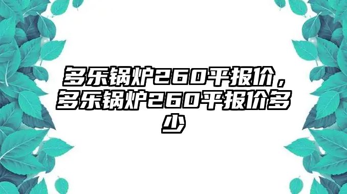 多樂鍋爐260平報(bào)價(jià)，多樂鍋爐260平報(bào)價(jià)多少