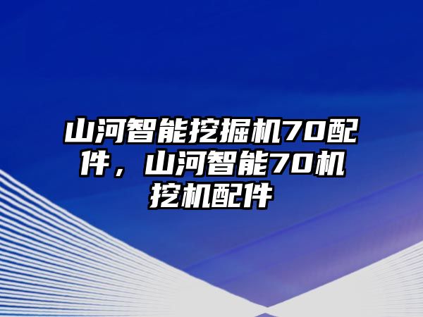 山河智能挖掘機(jī)70配件，山河智能70機(jī)挖機(jī)配件