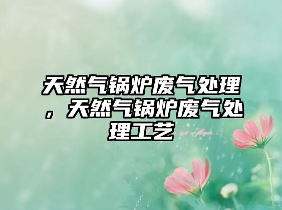 天然氣鍋爐廢氣處理，天然氣鍋爐廢氣處理工藝