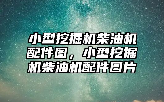 小型挖掘機柴油機配件圖，小型挖掘機柴油機配件圖片