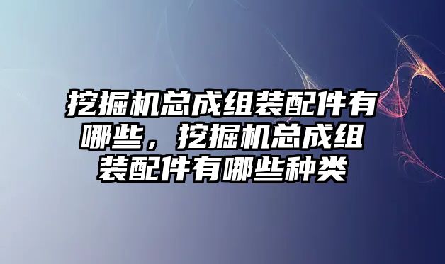 挖掘機總成組裝配件有哪些，挖掘機總成組裝配件有哪些種類