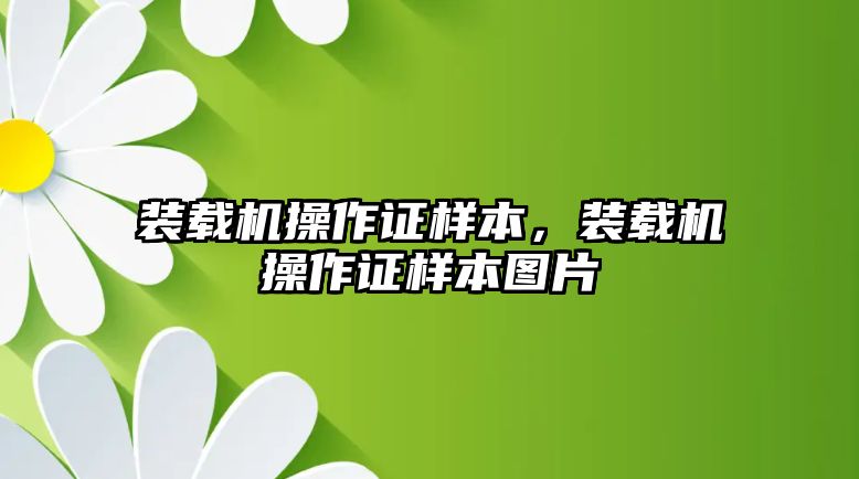 裝載機操作證樣本，裝載機操作證樣本圖片