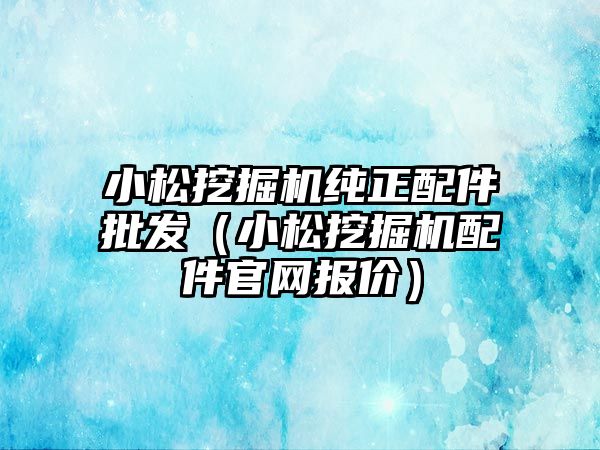 小松挖掘機純正配件批發(fā)（小松挖掘機配件官網(wǎng)報價）