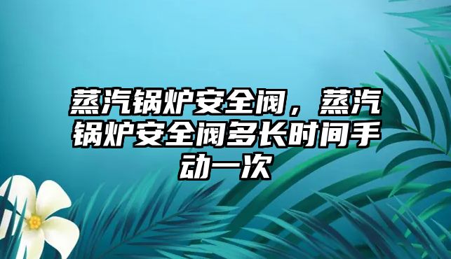 蒸汽鍋爐安全閥，蒸汽鍋爐安全閥多長時間手動一次