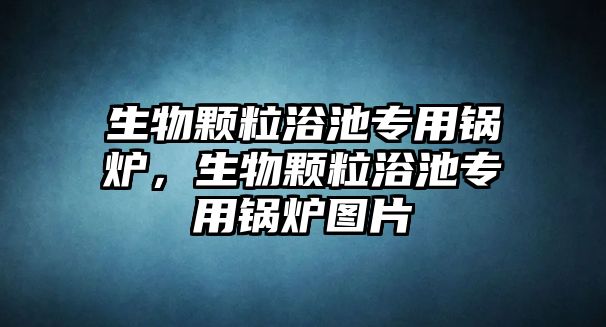 生物顆粒浴池專用鍋爐，生物顆粒浴池專用鍋爐圖片