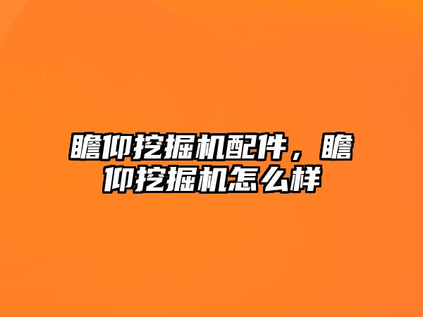 瞻仰挖掘機配件，瞻仰挖掘機怎么樣