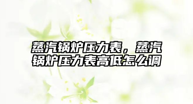 蒸汽鍋爐壓力表，蒸汽鍋爐壓力表高低怎么調(diào)