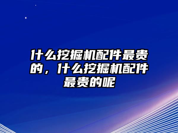 什么挖掘機(jī)配件最貴的，什么挖掘機(jī)配件最貴的呢