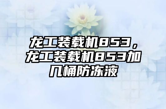 龍工裝載機(jī)853，龍工裝載機(jī)853加幾桶防凍液