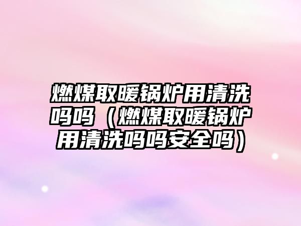 燃煤取暖鍋爐用清洗嗎嗎（燃煤取暖鍋爐用清洗嗎嗎安全嗎）