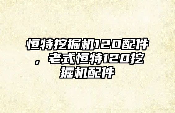 恒特挖掘機(jī)120配件，老式恒特120挖掘機(jī)配件