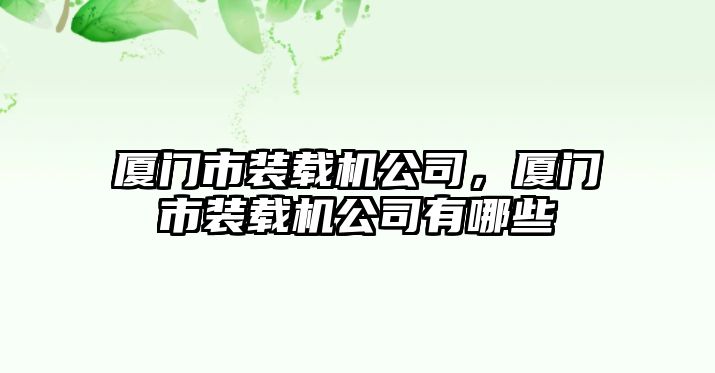 廈門市裝載機(jī)公司，廈門市裝載機(jī)公司有哪些