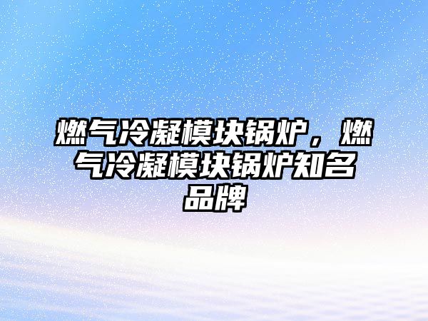 燃?xì)饫淠K鍋爐，燃?xì)饫淠K鍋爐知名品牌