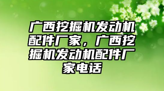 廣西挖掘機發(fā)動機配件廠家，廣西挖掘機發(fā)動機配件廠家電話