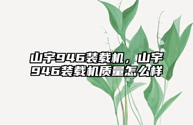 山宇946裝載機(jī)，山宇946裝載機(jī)質(zhì)量怎么樣