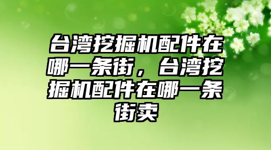 臺灣挖掘機配件在哪一條街，臺灣挖掘機配件在哪一條街賣