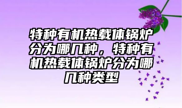 特種有機熱載體鍋爐分為哪幾種，特種有機熱載體鍋爐分為哪幾種類型