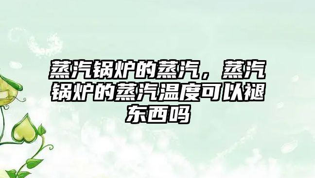 蒸汽鍋爐的蒸汽，蒸汽鍋爐的蒸汽溫度可以褪東西嗎