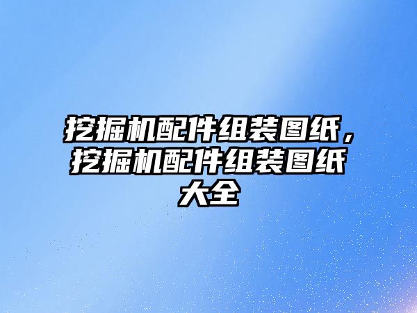 挖掘機配件組裝圖紙，挖掘機配件組裝圖紙大全