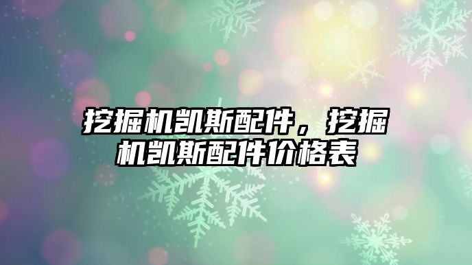 挖掘機(jī)凱斯配件，挖掘機(jī)凱斯配件價格表