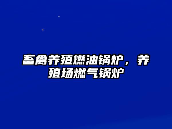 畜禽養(yǎng)殖燃油鍋爐，養(yǎng)殖場燃?xì)忮仩t